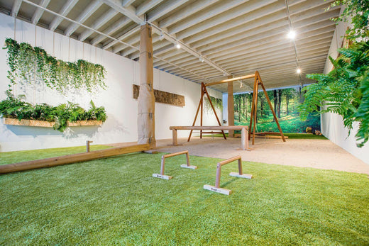 Enhance Your Fitness Space with Indoor Gym Turf and Nature-Inspired Design