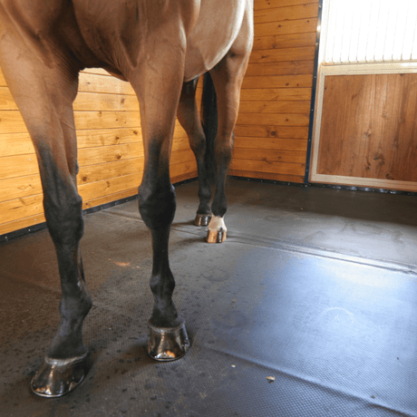 Equestrian Mats