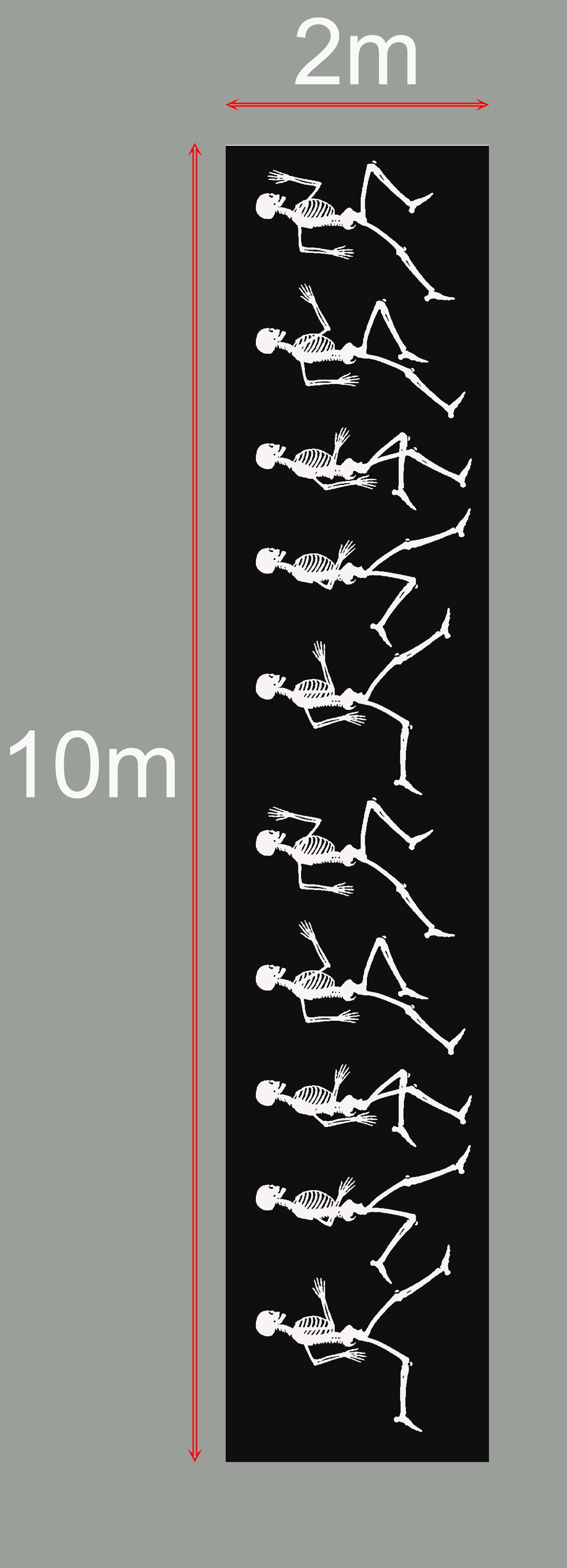 Grafika Sprint Tracks Collection 10m x 2m Wide (Price includes worldwide shipping)