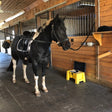 Horse Washing Area Tiles 30mm - 50cm x 50cm GYM FLOORING GymFloors   