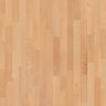 Basketball Court Flooring - Boen Boflex Stadium - GymFloors
